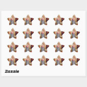 20 Sterstickers Maria en Jezus Ster Sticker (Vel)