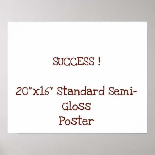 20"x16" Standaard Halfglans Poster (Voorkant)