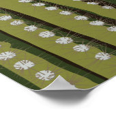 20 x 16 inch Bat en Saguaro Sunset Poster (Hoek)