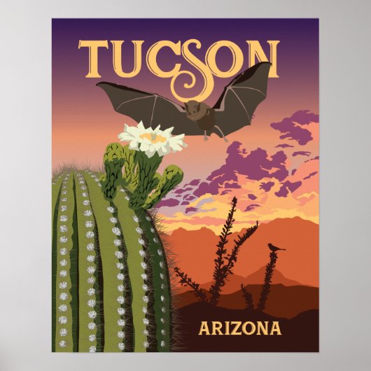 20 x 16 inch Bat en Saguaro Sunset Poster (Voorkant)