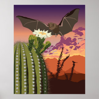 20 x 16-inch Southwest Bat en Saguaro Poster