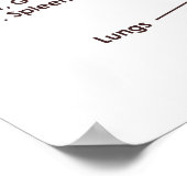 20 x 16 inch, Tongue Reflexology Chart (Matte) Poster (Hoek)