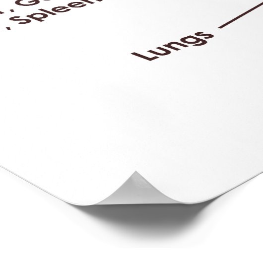 20 x 16 inch, Tongue Reflexology Chart (Matte) Poster (Hoek)