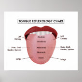 20 x 16 inch, Tongue Reflexology Chart (Matte) Poster (Voorkant)