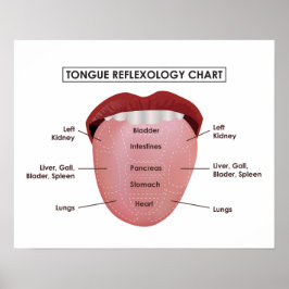 20 x 16 inch, Tongue Reflexology Chart (Matte) Poster