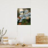 20 x 16 inch, Value Poster Paper (Matte) (Keuken)