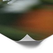 20 x 16 inch, Value Poster Paper (Matte) (Hoek)
