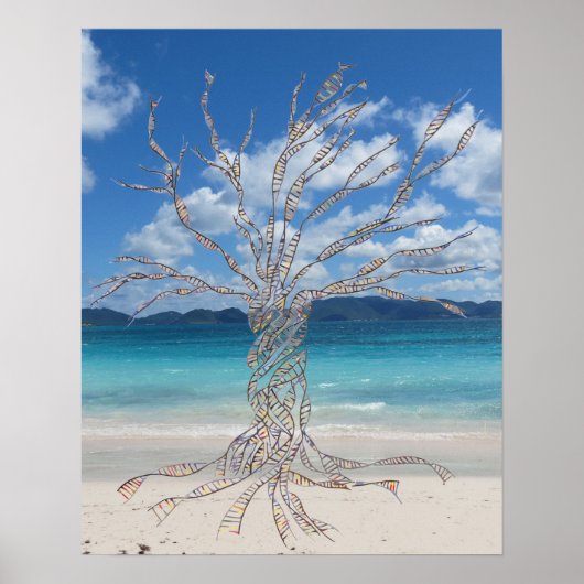 20 x 16 inch, Value Poster Paper (Matte) (Voorkant)