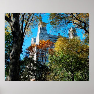 20 x 16 inch, Value Poster Paper (Matte)