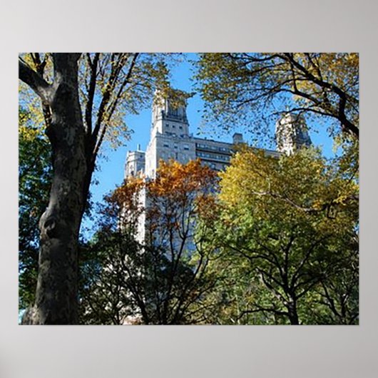 20 x 16 inch, Value Poster Paper (Matte) (Voorkant)