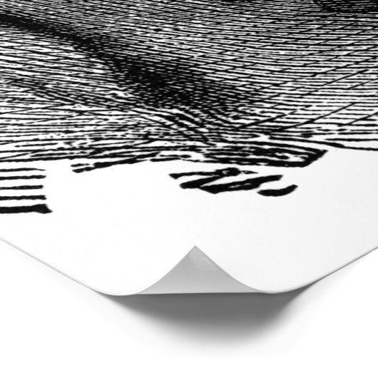 20 x 16 inch, Value Poster Paper (Matte) (Hoek)