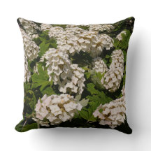 20 x 20-inch Oakleaf Hydrangea