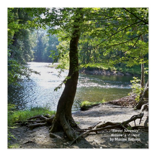 20 x 20 inch, Poster (halfglanzend) (Voorkant)