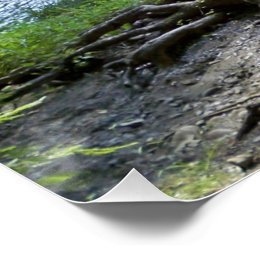 20 x 20 inch, Poster (halfglanzend) (Hoek)