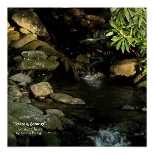 20 x 20 inch, Poster (halfglanzend) (Voorkant)