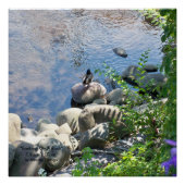 20 x 20 inch, Poster (halfglanzend) (Voorkant)