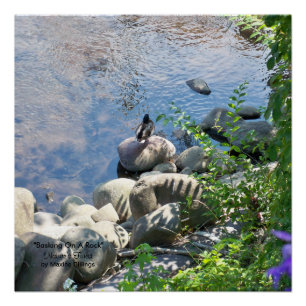 20 x 20 inch, Poster (halfglanzend)