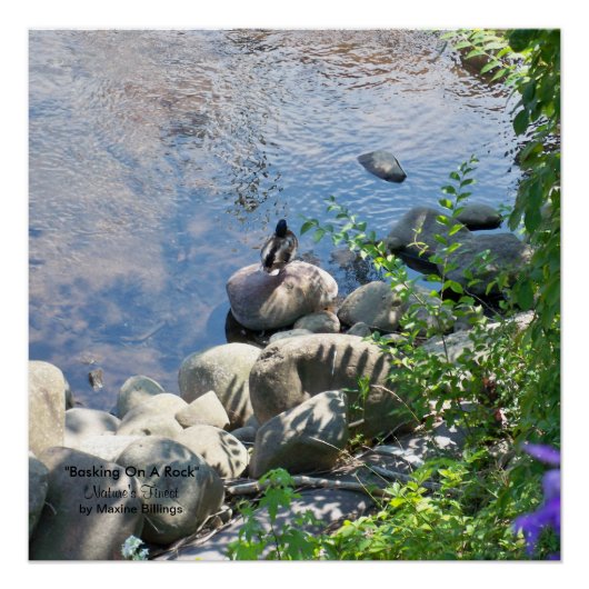 20 x 20 inch, Poster (halfglanzend) (Voorkant)