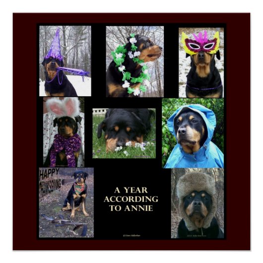 20 x 20" poster "Een jaar volgens Annie" (Voorkant)
