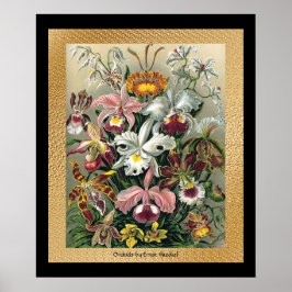 20 x 24 zwart en goud poster