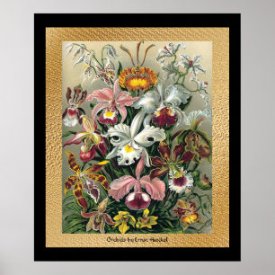 20 x 24 zwart en goud poster