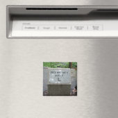 20e Maine Gettysburg Magnet (Insitu (Vaatwasser))