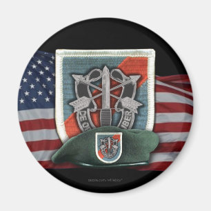 20e Special Forces Flash Vietnam Vets Magnet