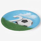 20e verjaardag Voetbal in Green Grass Papieren Bordje (Gekanteld)
