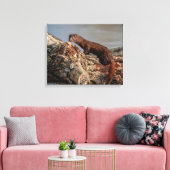 20x16 American Mink Canvas Afdruk (Insitu (Woonkamer))