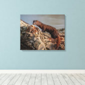 20x16 American Mink Canvas Afdruk (Insitu (Houten vloer))