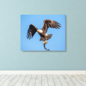 20x16 Bald Eagle met een vis Canvas Afdruk (Insitu (Houten vloer))