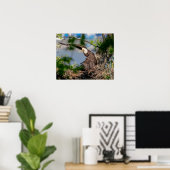 20x16 Bald Eagle met het nest Poster (Thuiskantoor)