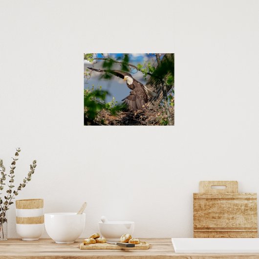 20x16 Bald Eagle met het nest Poster (Keuken)