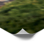 20x16 Bald Eagle pass Fort Ticonderoga Poster (Hoek)