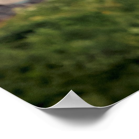 20x16 Bald Eagle pass Fort Ticonderoga Poster (Hoek)