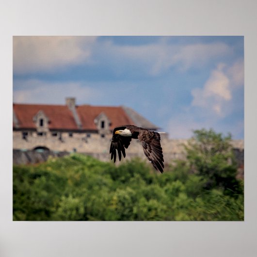20x16 Bald Eagle pass Fort Ticonderoga Poster (Voorkant)