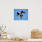20x16 Bald Eagle with a fish Poster (Keuken)