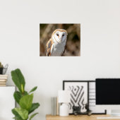 20x16 Barn Owl Poster (Thuiskantoor)