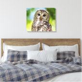 20x16 Barred Owl Canvas Afdruk (Insitu (Slaapkamer))
