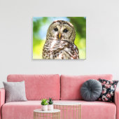 20x16 Barred Owl Canvas Afdruk (Insitu (Woonkamer))