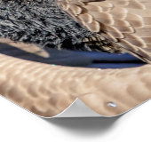20x16 Canada Goose Poster (Hoek)