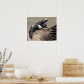 20x16 Canada Goose Poster (Keuken)