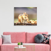 20x16 Chipmunk die een pinda eet Canvas Afdruk (Insitu (Woonkamer))