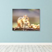 20x16 Chipmunk die een pinda eet Canvas Afdruk (Insitu (Houten vloer))