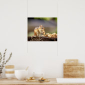 20x16 Chipmunk die een pinda eet Poster (Keuken)