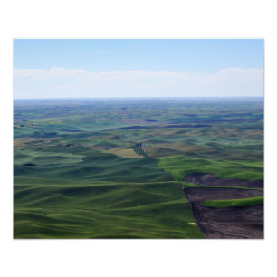 20x16 De Gentle Rolls of Palouse Hills Foto Afdruk