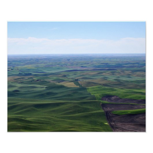 20x16 De Gentle Rolls of Palouse Hills Foto Afdruk (Voorkant)