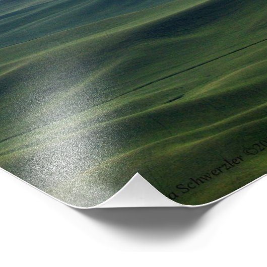 20x16 De Gentle Rolls of Palouse Hills Foto Afdruk (Hoek)