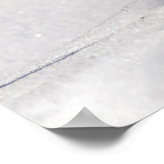 20x16 Eastern Bluebird dansend in de sneeuw Poster (Hoek)