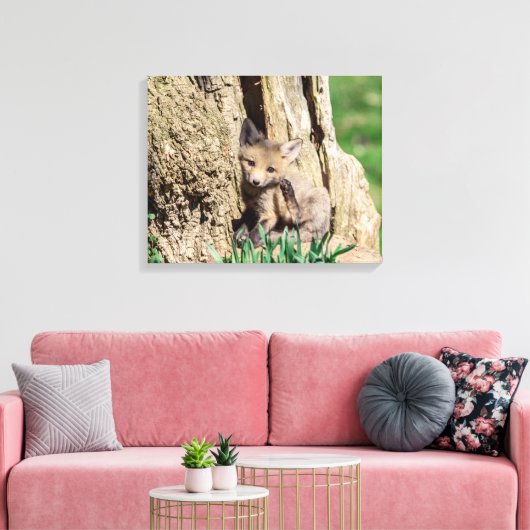 20x16 Fox Kit in de Hudson-vallei Canvas Afdruk (Insitu (Woonkamer))